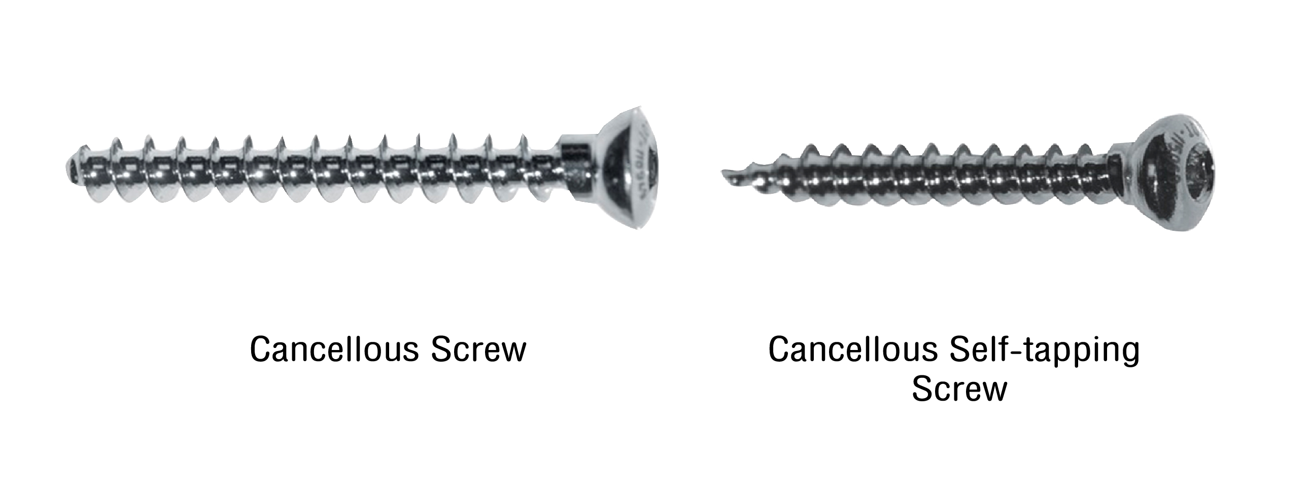 การเลือกใช้ Screw ในการศัลยกรรมกระดูก (Orthopedic Surgery) Best